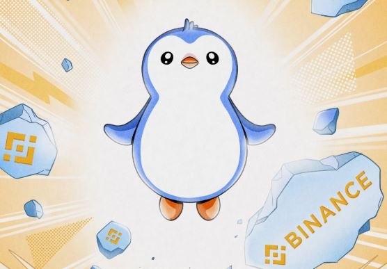 Se lanza la criptomoneda PENGU en Binance y su precio sube más de 500%