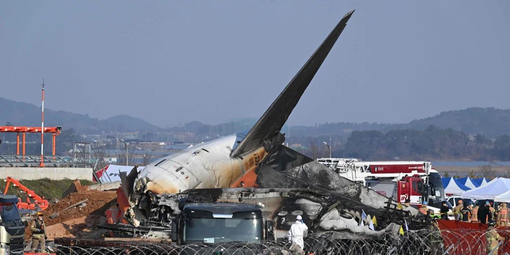 Tragedia aérea en Corea del Sur: «Un pájaro ha quedado atrapado en un ala y no podemos aterrizar»