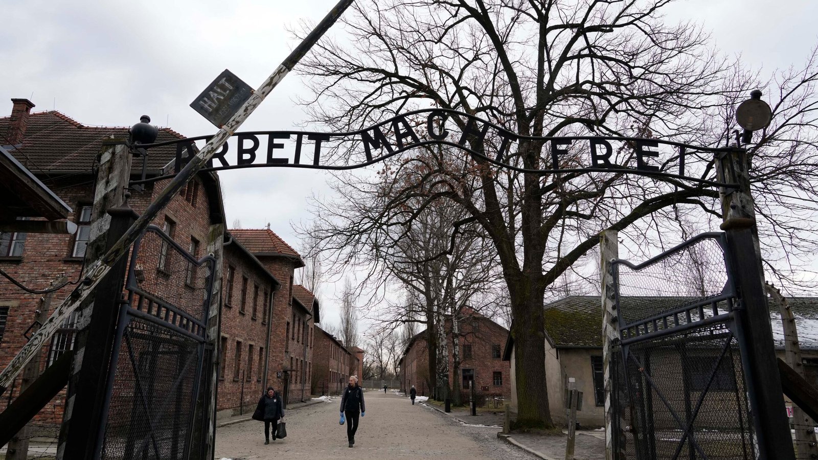 Nueve libros sobre el Holocausto
