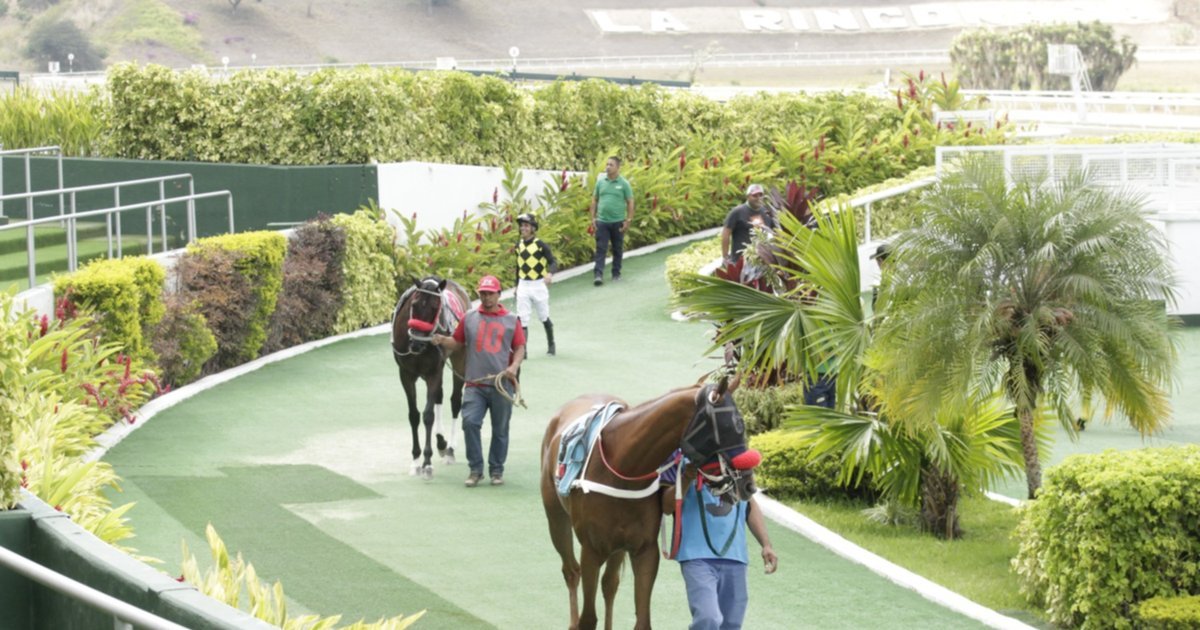 Favoritos de la cátedra para el 5y6 Nacional de la reunión N°6 en el hipódromo La Rinconada