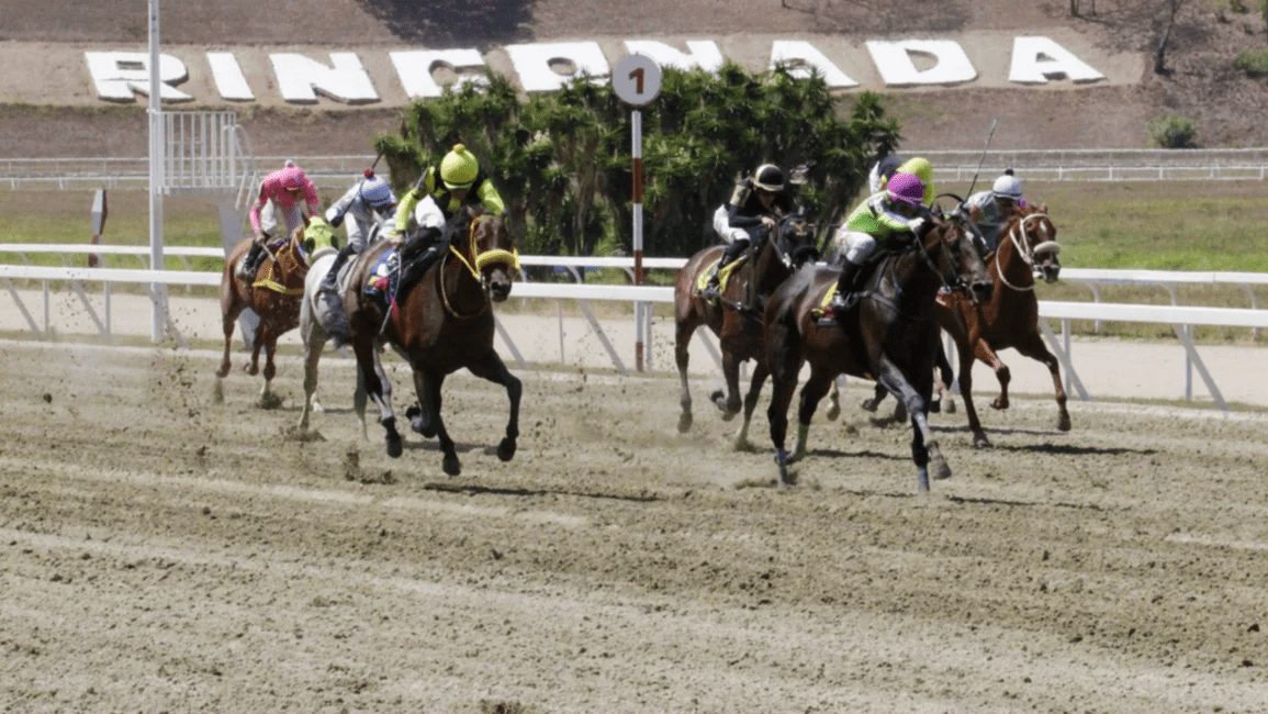 INH: Resultados del Hipódromo La Rinconada, domingo 23-3-2025