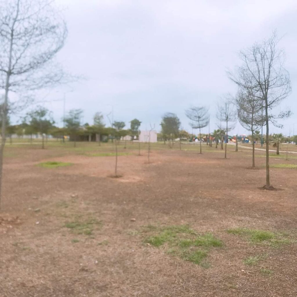Así se encuentra el Parque Zoila Ugarte en Machala el parque más grande de la provincia que hizo
@MashiRafael
deteriorado en mal estado.
Así lo volverán a poner al parque Samanes cuando ya
@aquilesalvarez
lo recuperó