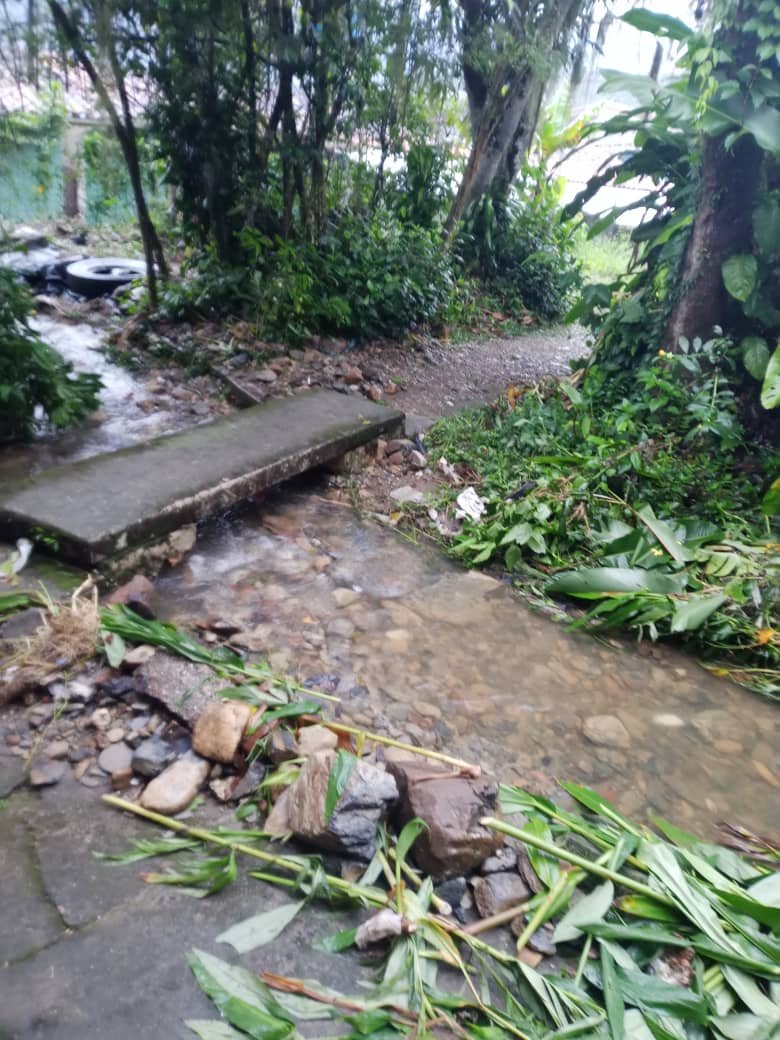 Solicitan atención tras crecida en Valle Verde II y La Elba en Boconó