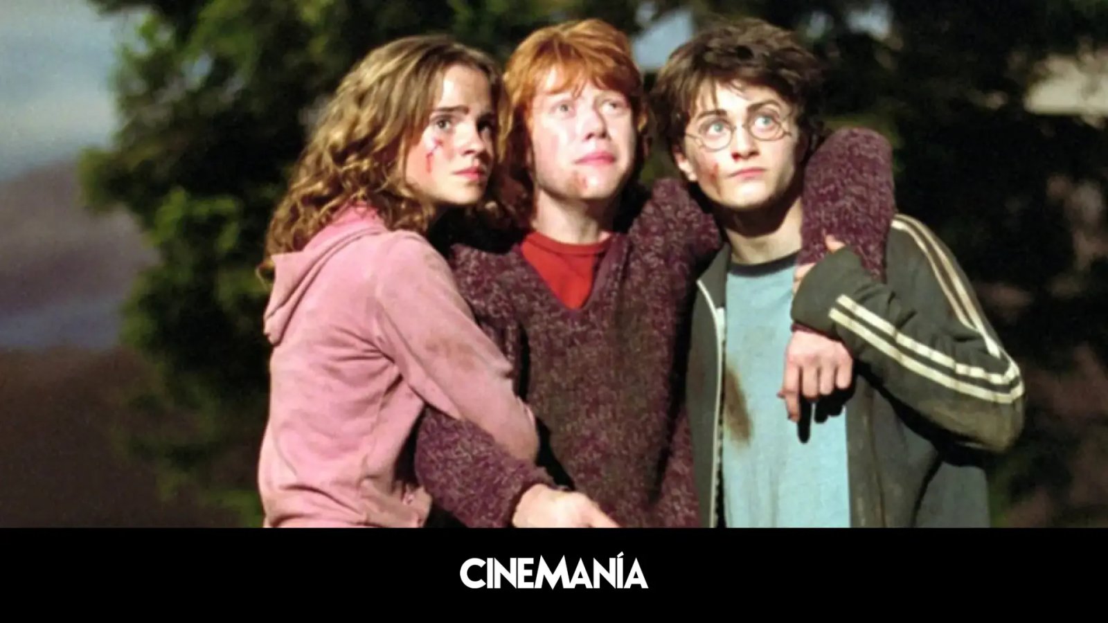 estos son los nuevos Harry, Ron y Hermione