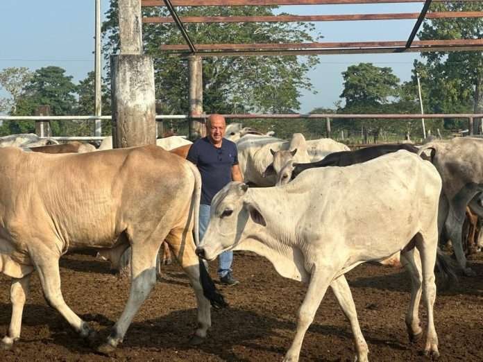 Vigentes órdenes de aprehensión por extorsión a ganadero Waldo Rujano