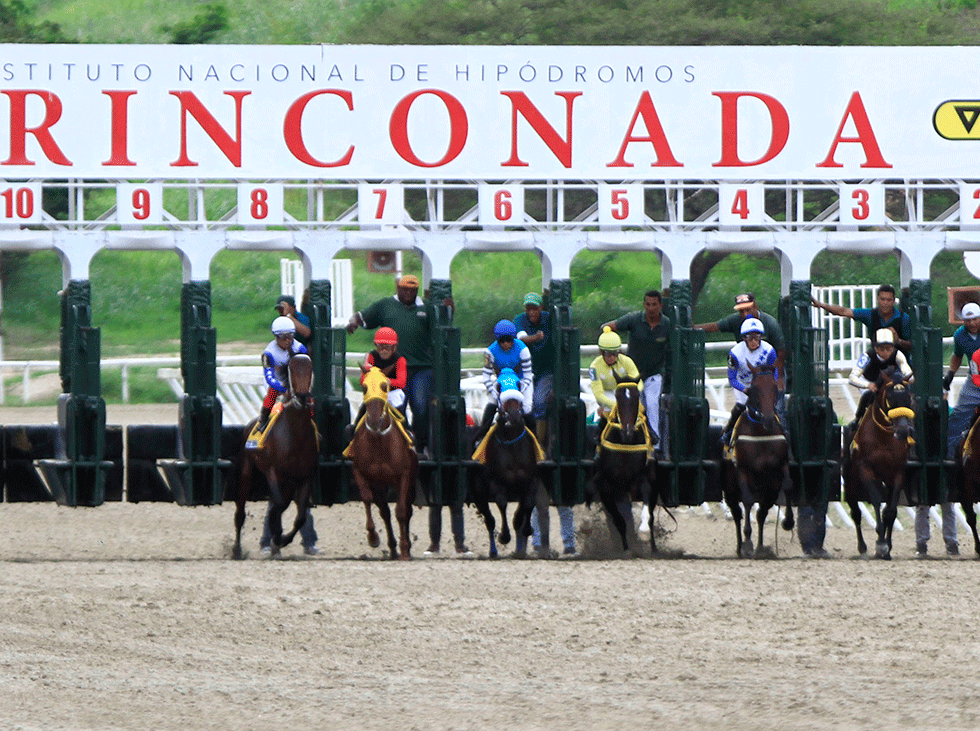 INH: Resultados del Hipódromo La Rinconada, domingo 1-6-2025